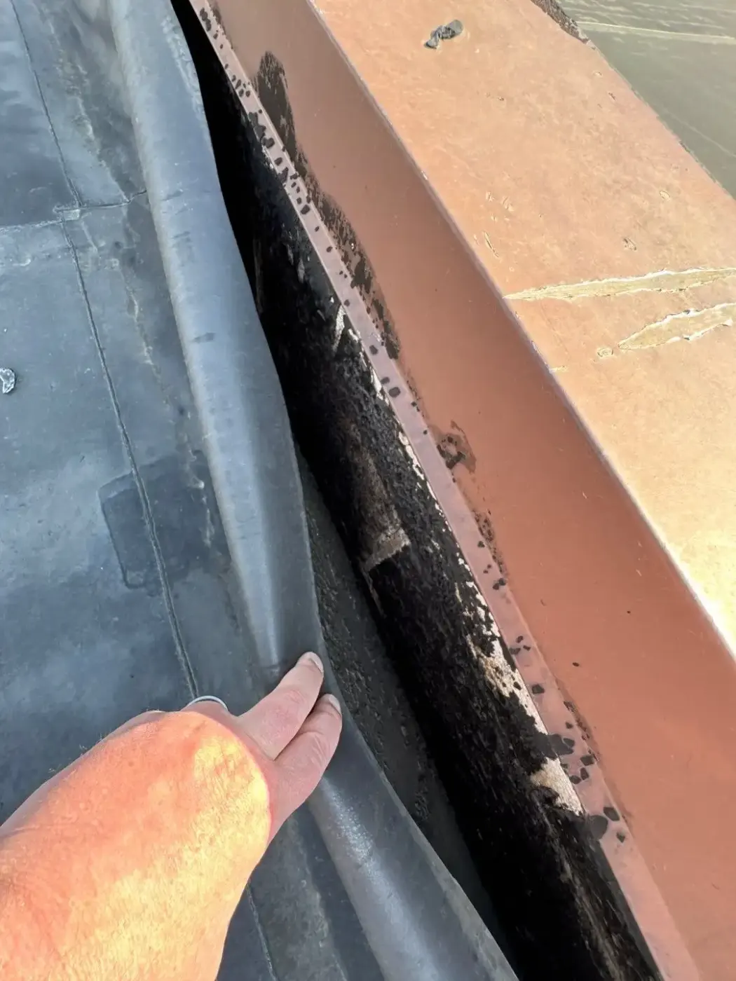 Tarping and dry-in on a Griffith commercial roof